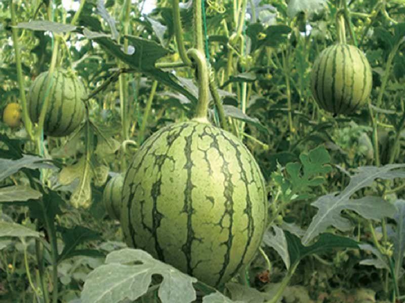 山東91短视频污APP下载塑膠有限公司